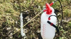 Alkalmazás a vas epiphany kertészkedésében