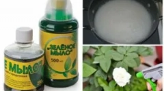 A zöld szappan a kártevőkből