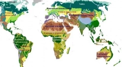 Természetes zónák