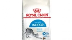 Egyszerű maness macskák: miért szeretjük őket annyira