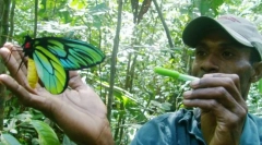 Bluecter queen alexandra