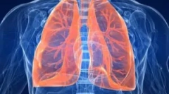 Paraziták fejlesztése az emberi tüdőben: tünetek és diagnosztika