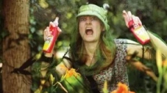 A test reakciója a kémek harapása és a kezelés módszerei