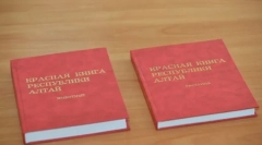 Ritka állatok eurázsia