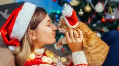 Boldog új évet, macskát! 14 újévi ajándék ötletek a macskák számára