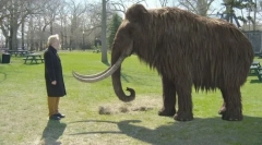 Üdvözöljük vissza: 10 kihalt állat, amely hamarosan visszatérhet