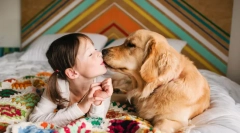 A világ legkedveltebb fajtája