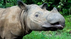 A legrövidebb állatok a világon