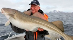 Észak-halászati halak