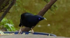 Homok alakú szatén