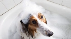 Samponok és légkondicionáló