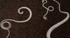 A fertőzés tünetei és kezelése a hatalommal