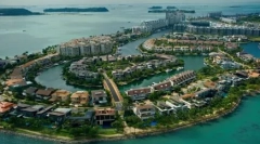 Szingapúr: tenyésztési jellemzők és tartalmi szabályok