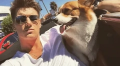 Milyen fajta meghódította az alexey vorobyov szívét?