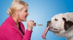 Kutya a világ leghosszabb nyelvével