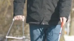 A kutyák specializálódása