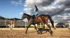 Lómozgató módszerek