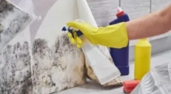 Mold eltávolító eszközök (penészgomba)