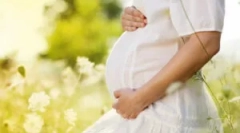 Terhes és ápolási anyák tetvekből származó pénzeszközök