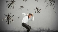 Rovar harapási alapok