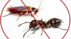 Fas tool: release formák és alkalmazás