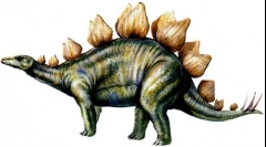 Stegosaur