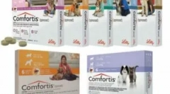 Tabletták kényelmét a macskák és a kutyák számára