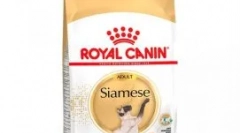 Taurine a macskáknak: mi hasznos, milyen táplálékban és termékek tartalmaznak