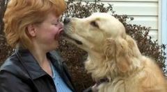 Top 10 a legtöbb bátor állat