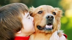 Top 10 dolog, ami utálja a kutyákat