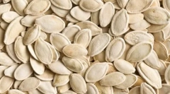 Top 10 állat, amelyek félnek a nőktől