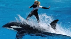 6 Legjobb ember, akit kegyetlenül öltek meg állatok, amelyeket imádtak