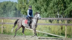 Lovaglás leckék kezdőknek