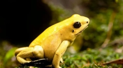 Szörnyű szabadidő