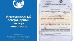 Az úton egy kutyával: az utazási legjobb fajták