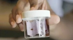 A bedbugok munkatermei és elve