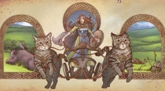 Az európai rövidszőrm macskáról