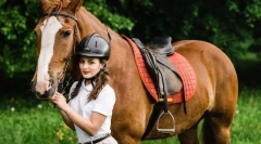 Az istállók, az edző és a lovak kiválasztása