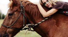 Emberi interakció és ló