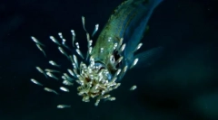 Halat a gyermekeik gondozásáról?