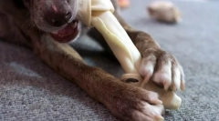 Miért van szüksége az ötödik ujjra