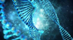 Az öröklés törvényei