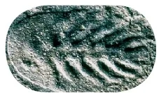 A venndi időszak állata